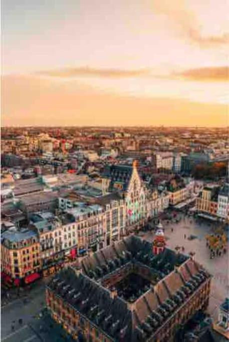 Appartement F3 & Solferino Lille Dış mekan fotoğraf