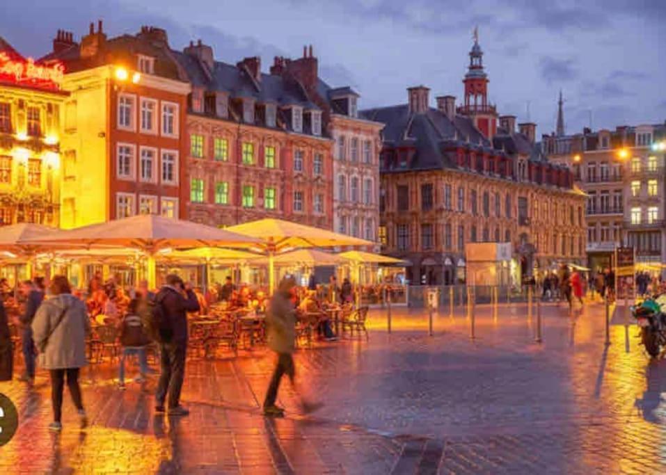 Appartement F3 & Solferino Lille Dış mekan fotoğraf