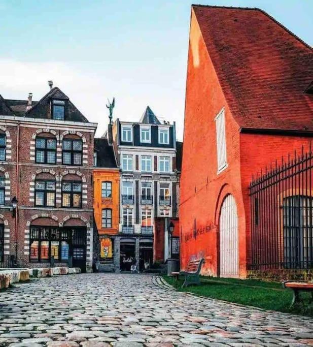 Appartement F3 & Solferino Lille Dış mekan fotoğraf