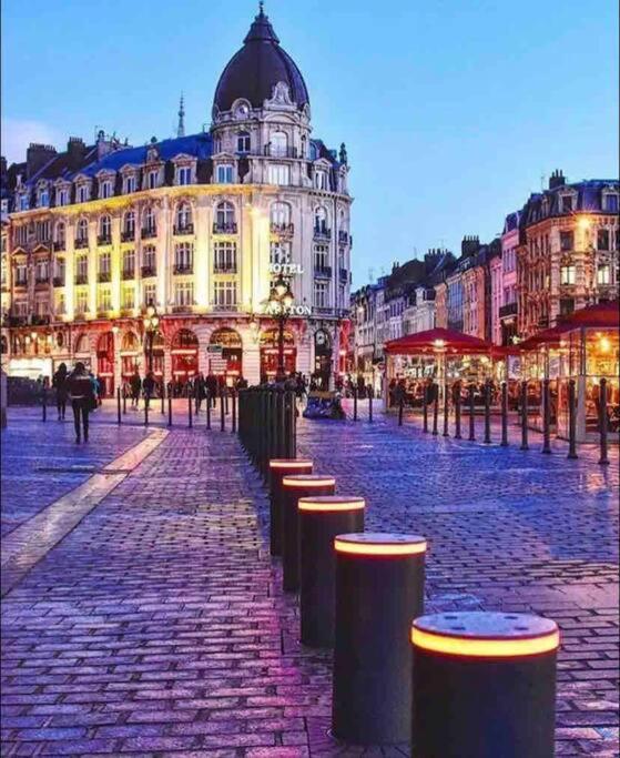 Appartement F3 & Solferino Lille Dış mekan fotoğraf
